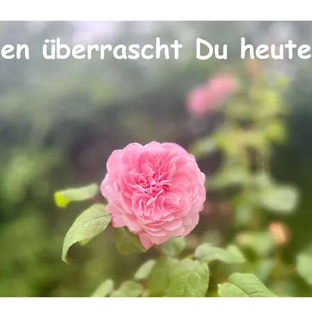 Romantik Pur - Schlafen Unter Dem Sternenhimmel Campo de lujo