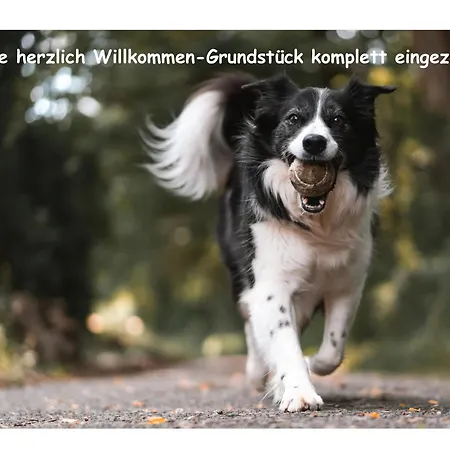 Romantik Pur - Schlafen Unter Dem Sternenhimmel Frankfurt am Main