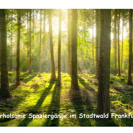 Romantik Pur - Schlafen Unter Dem Sternenhimmel Luxussátor Frankfurt am Main