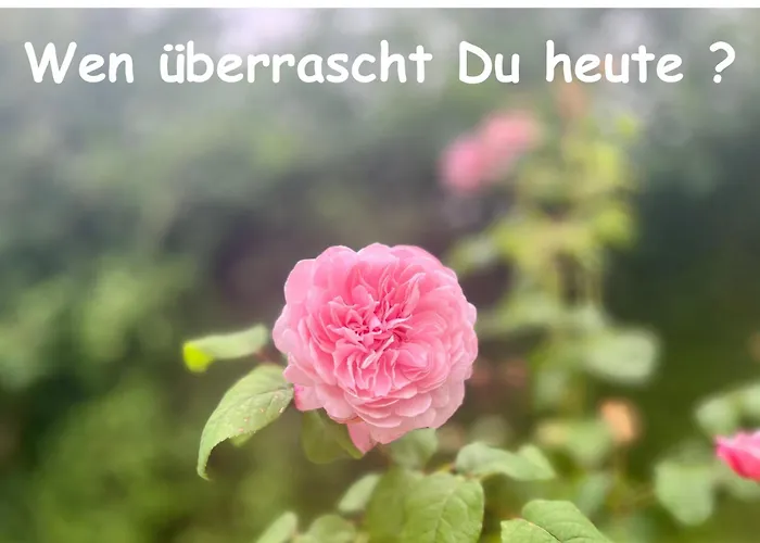 Romantik Pur - Schlafen Unter Dem Sternenhimmel 豪华帐篷