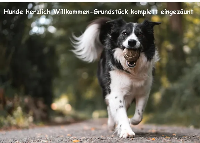 Romantik Pur - Schlafen Unter Dem Sternenhimmel Франкфурт-на-Майне