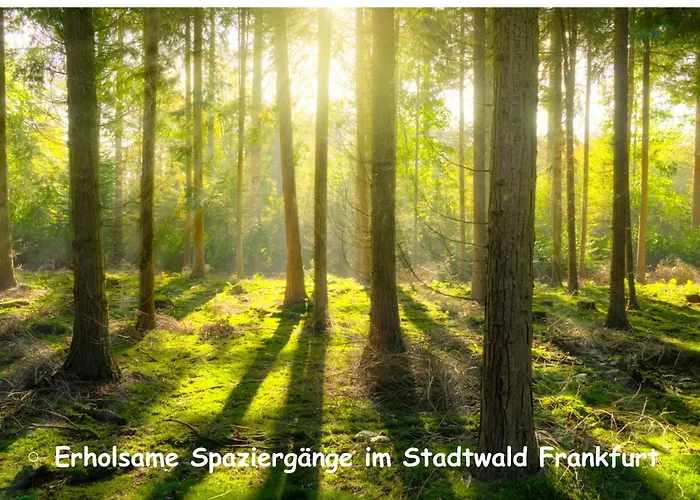 Romantik Pur - Schlafen Unter Dem Sternenhimmel 豪华帐篷 美因河畔法兰克福